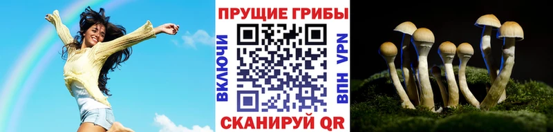 Галлюциногенные грибы GOLDEN TEACHER Карабаново